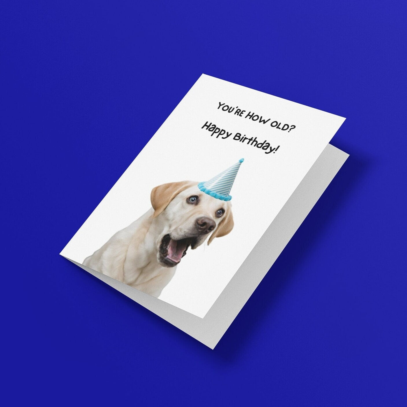 Labrador Cheeky Birthday Card - Click Of A Button Prints