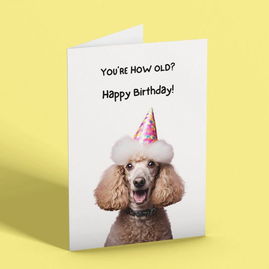 Cheeky Poodle Birthday Card - Click Of A Button Prints