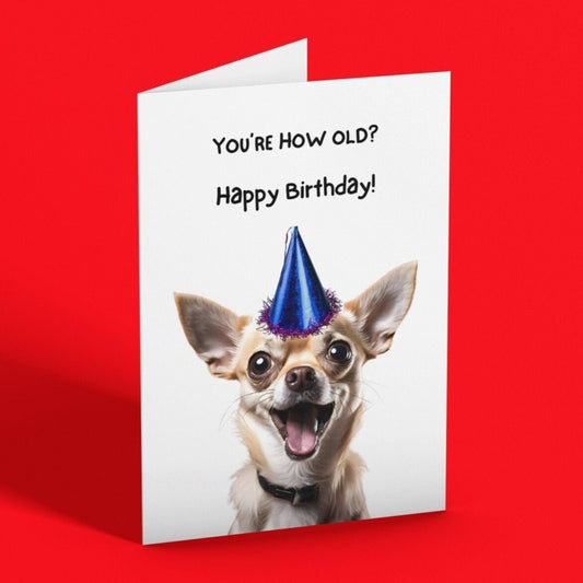 Cheeky Chihuahua Birthday Card - Click Of A Button Prints