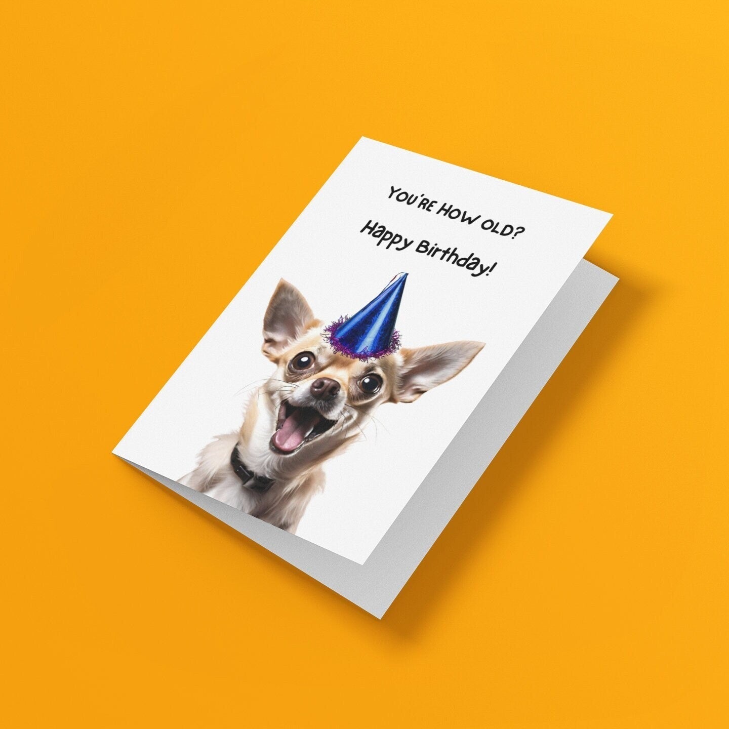 Cheeky Chihuahua Birthday Card - Click Of A Button Prints