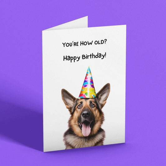 Cheeky Alsatian German Shepherd Birthday Card - Click Of A Button Prints