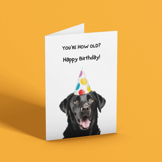 Cheeky Black Labrador Birthday Card - Click Of A Button Prints