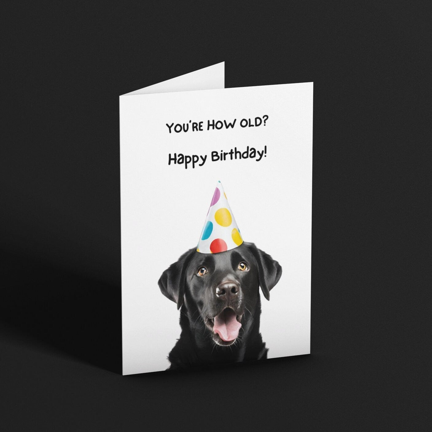 Cheeky Black Labrador Birthday Card - Click Of A Button Prints