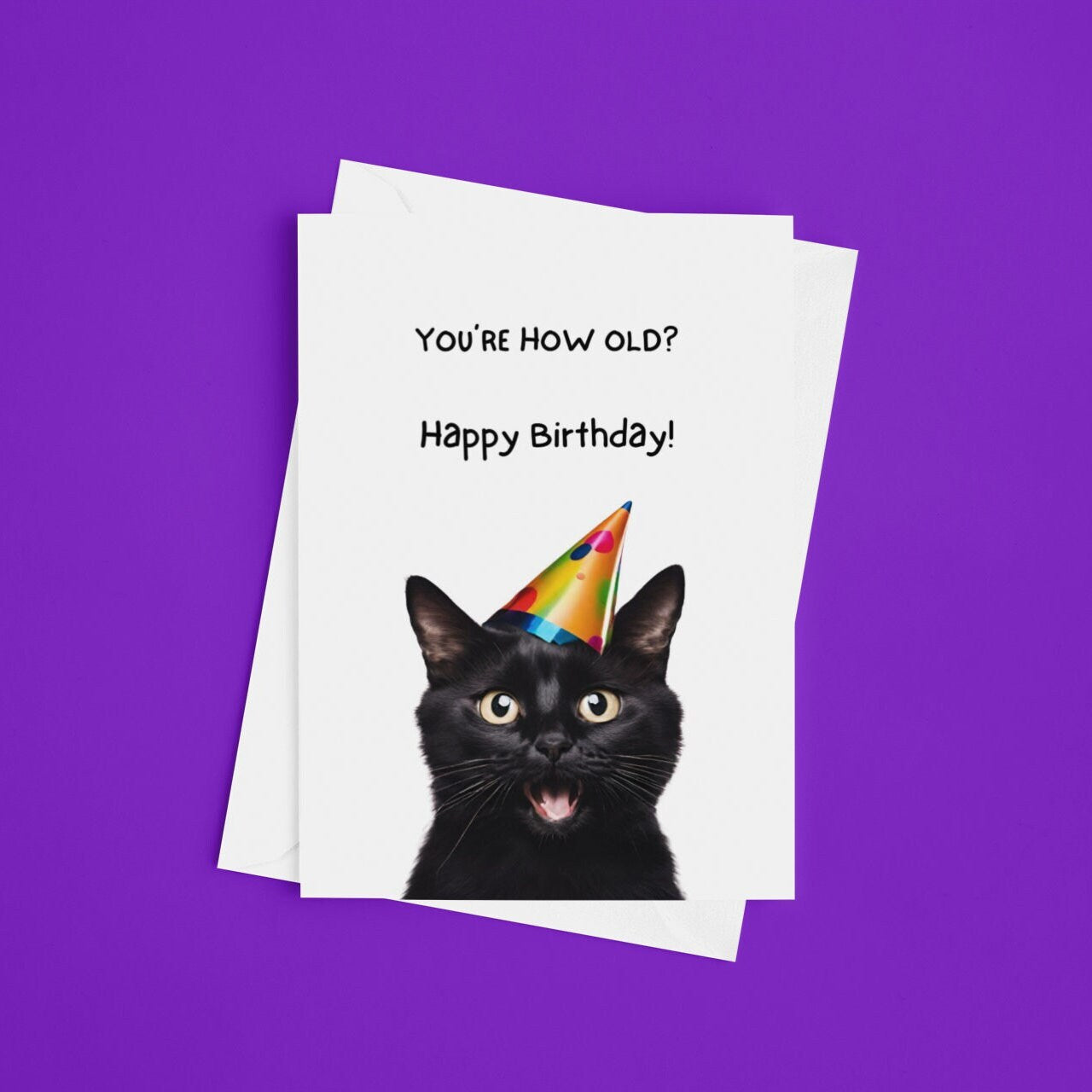 Cheeky Black Cat Birthday Card - Click Of A Button Prints
