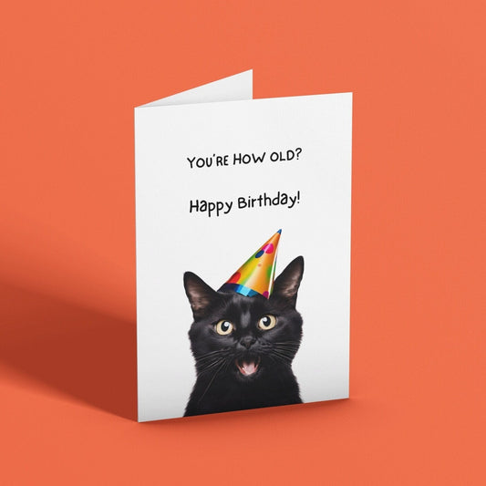 Cheeky Black Cat Birthday Card - Click Of A Button Prints