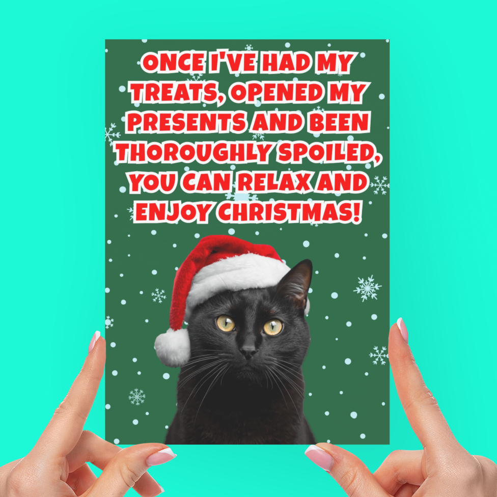 Funny Christmas Card From The Cat