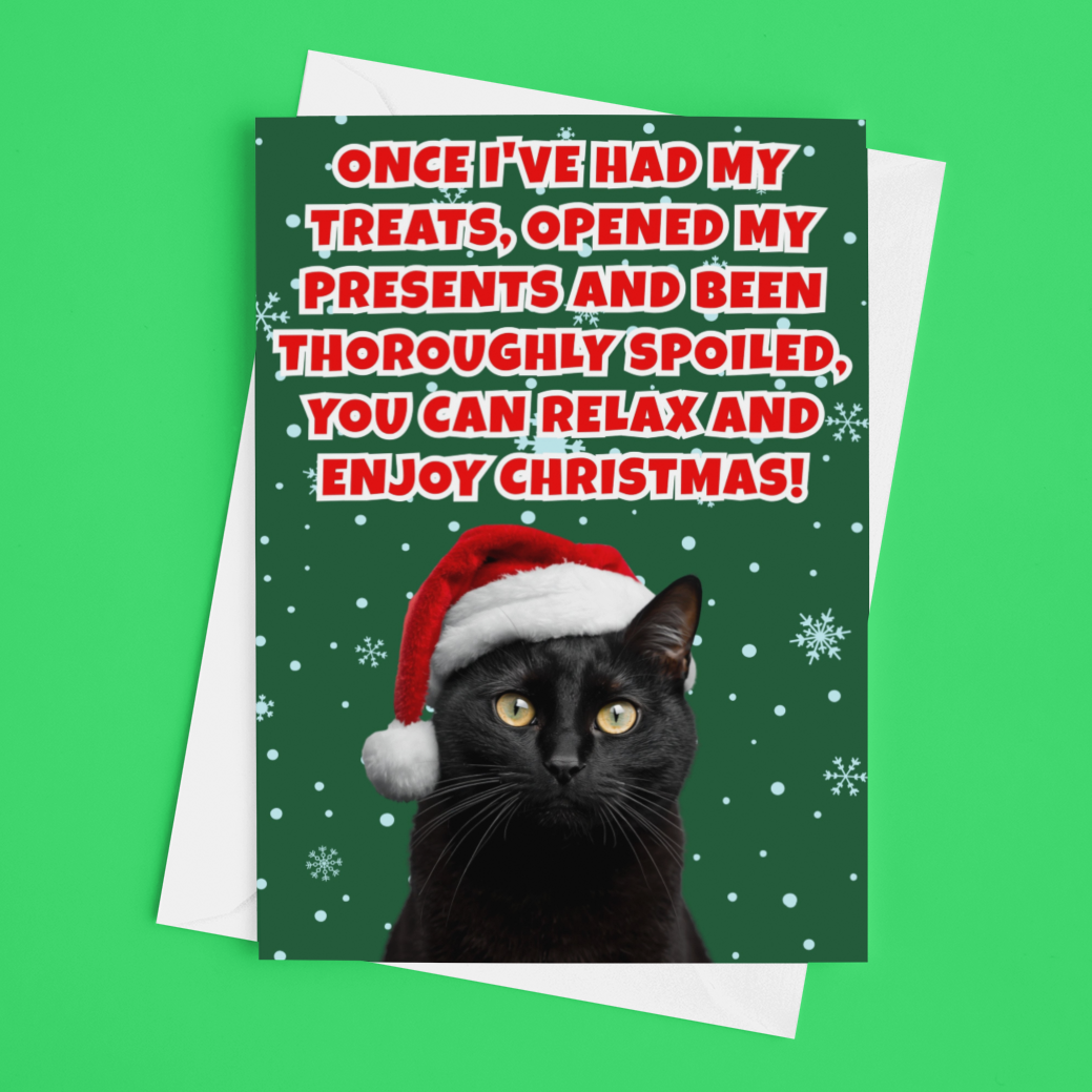 Funny Christmas Card From The Cat