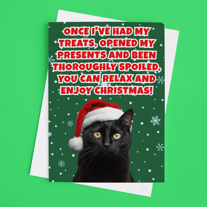 Funny Christmas Card From The Cat