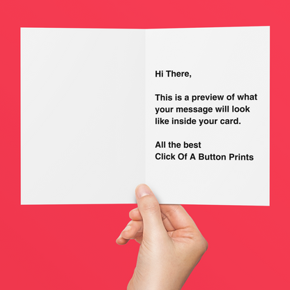 This Card Is A Trifle Rude Funny Birthday Card